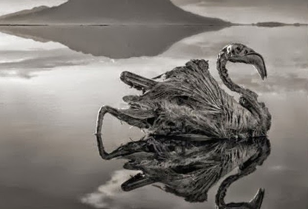 Η λίμνη του θανάτου, που ότι την ακουμπάει του ρουφάει τη ζωή - Δείτε συγκλονιστικές εικόνες που κόβουν την ανάσα [photos] - Φωτογραφία 1
