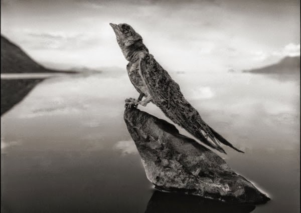 Η λίμνη του θανάτου, που ότι την ακουμπάει του ρουφάει τη ζωή - Δείτε συγκλονιστικές εικόνες που κόβουν την ανάσα [photos] - Φωτογραφία 4