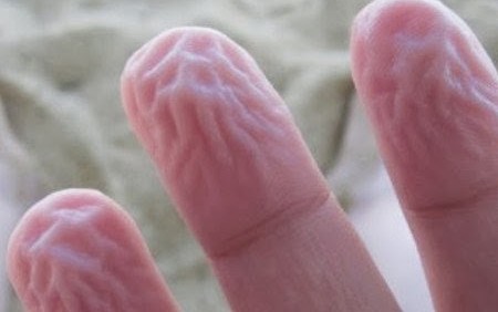 Γιατί ζαρώνουν τα δάχτυλα στο νερό; Ιδού η επιστημονική απάντηση - Φωτογραφία 1