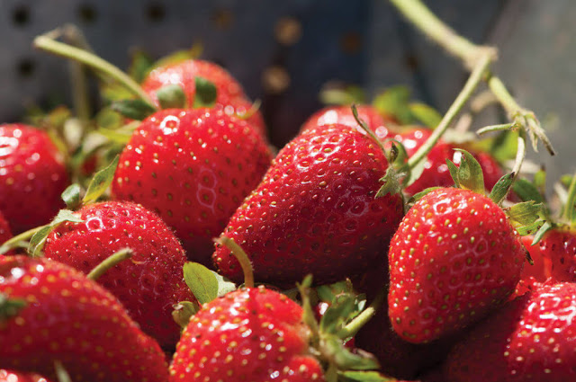 Σε ποιες παθήσεις ωφελούν οι φράουλες και ποιοι είναι οι πιθανοί κίνδυνοι από την κατανάλωσή τους; - Φωτογραφία 3