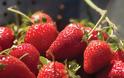 Σε ποιες παθήσεις ωφελούν οι φράουλες και ποιοι είναι οι πιθανοί κίνδυνοι από την κατανάλωσή τους; - Φωτογραφία 3