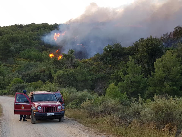Εύβοια: Υπό έλεγχο η φωτιά που «απείλησε» χωριά του Δήμου Κύμης - Αλιβερίου (ΦΩΤΟ & ΒΙΝΤΕΟ) - Φωτογραφία 1