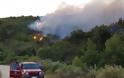Εύβοια: Υπό έλεγχο η φωτιά που «απείλησε» χωριά του Δήμου Κύμης - Αλιβερίου (ΦΩΤΟ & ΒΙΝΤΕΟ) - Φωτογραφία 1