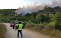 Εύβοια: Υπό έλεγχο η φωτιά που «απείλησε» χωριά του Δήμου Κύμης - Αλιβερίου (ΦΩΤΟ & ΒΙΝΤΕΟ) - Φωτογραφία 2