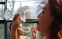 Γυναίκα και κρασί: πως το αλκοόλ επηρεάζει την γυναικεία υγεία;