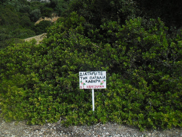 Μια εθελοντική δράση από το Δημητρούκειο Δημοτικό Σχολείο - Φωτογραφία 7