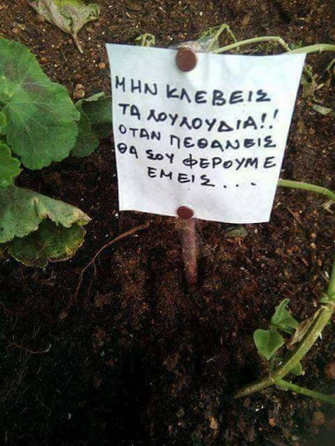 Τρομερό: Η πιο… μακάβρια πινακίδα σε ελληνικό κήπο - Φωτογραφία 2