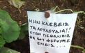 Τρομερό: Η πιο… μακάβρια πινακίδα σε ελληνικό κήπο - Φωτογραφία 2