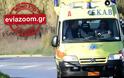 Βόρεια Εύβοια: Τροχαίο με τρεις τραυματίες στη Στροφυλιά
