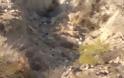 Κρήτη: Περίεργο πλάσμα αναστάτωσε όλη την Ιεράπετρα. Σοκαρισμένοι οι Κάτοικοι – Η Αλήθεια για το πουλί [photos] - Φωτογραφία 3