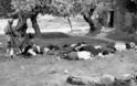 1941: Σαν σήμερα η Σφαγή στο Κοντομαρί Χανίων