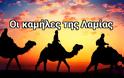 Οι καμήλες της Λαμίας - Σπάνιες εικόνες... [photos]
