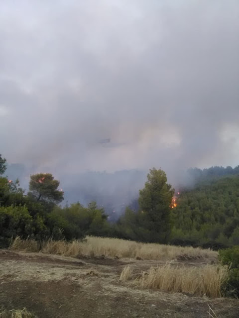 Πισσώνας: Μαίνεται η πυρκαγιά, αλλά δεν απειλεί σπίτια - Δείτε Εικόνες! - Φωτογραφία 7