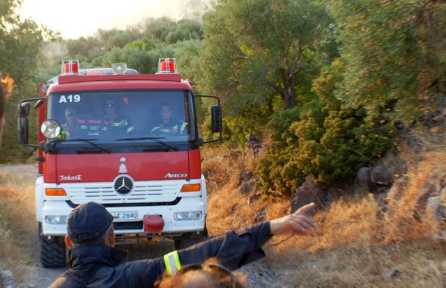 Πυροσβεστική για την φωτιά στο Πούρνο: «Αναζητείται για να συλληφθεί χειριστής αγροτικού μηχανήματος» - Φωτογραφία 1