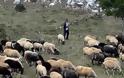 Σοκαριστική μαρτυρία κτηνοτρόφου στην Εύβοια: Ήρθα πρόσωπο με πρόσωπο με το Διάβολο