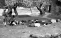 Για όσους ψηφίζουν τους ναζί : Η πρώτη μαζική εκτέλεση Κρητικών από τους Γερμανούς - Οι φωτογραφίες της σφαγής - Φωτογραφία 8