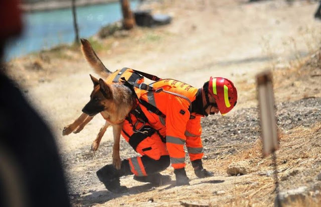 Επίσκεψη στο ΓΕΣ του Διοικητού Χερσαίων Δυνάμεων της Σερβίας Αντιστρατήγου Milosav Simovic - Φωτογραφία 13