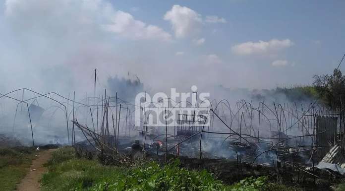 Μανωλάδα: Έγιναν όλα στάχτη… Η πυρκαγιά κατέστρεψε ολοσχερώς τον καταυλισμό των εργατών από το Μπαγκλαντές [photos+video] - Φωτογραφία 4