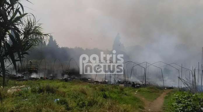 Μανωλάδα: Έγιναν όλα στάχτη… Η πυρκαγιά κατέστρεψε ολοσχερώς τον καταυλισμό των εργατών από το Μπαγκλαντές [photos+video] - Φωτογραφία 6