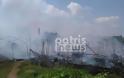 Μανωλάδα: Έγιναν όλα στάχτη… Η πυρκαγιά κατέστρεψε ολοσχερώς τον καταυλισμό των εργατών από το Μπαγκλαντές [photos+video] - Φωτογραφία 5
