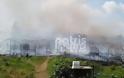 Μανωλάδα: Έγιναν όλα στάχτη… Η πυρκαγιά κατέστρεψε ολοσχερώς τον καταυλισμό των εργατών από το Μπαγκλαντές [photos+video] - Φωτογραφία 7