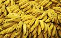 Έκρυβαν κοκαΐνη μέσα σε κοντέινερ με μπανάνες στη Λαχαναγορά (ΦΩΤΟ)