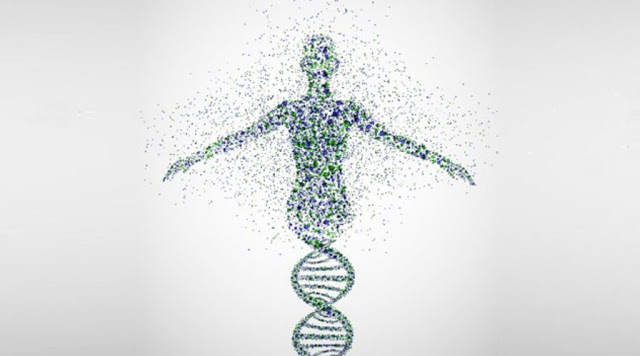 What Does Epigenetics Mean for Humanity’s Awakening? - Φωτογραφία 1