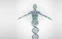 What Does Epigenetics Mean for Humanity’s Awakening?