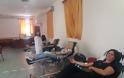 Εθελοντική αιμοδοσία στην Κατούνα (ΔΕΙΤΕ ΦΩΤΟ) - Φωτογραφία 3