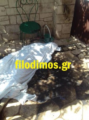 Τραγωδία στην Αιγιαλεία: Κάηκε ζωντανή στην αυλή του σπιτιού της – Μυστήριο με μπιτόνι βενζίνη [photos] - Φωτογραφία 2