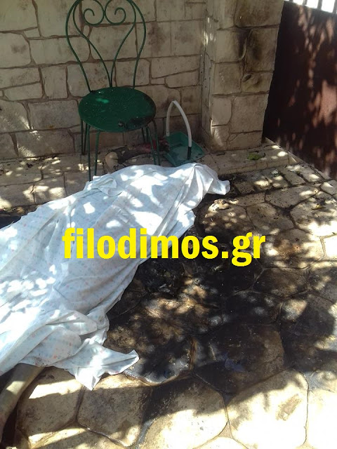 Τραγωδία στην Αχαΐα: 88χρονη κάηκε ζωντανή μπροστά στα μάτια του εγγονού της (φωτο) - Φωτογραφία 2