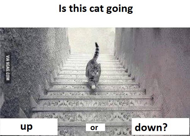Η γάτα που διχάζει το διαδίκτυο - Ανεβαίνει ή κατεβαίνει τα σκαλιά; Εσείς τι βλέπετε; [photo+video] - Φωτογραφία 2