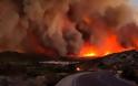 Έρευνα: Κυκλώματα καταπατητών έκαψαν πέρυσι τη Ζάκυνθο – Εξαφάνιζαν φυτείες χασίς στις φωτιές της Ηλείας