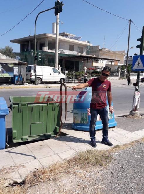 Πάτρα: Φίδι 2,5 μέτρων σε κατοικημένη περιοχή στην Οβρυά - Φωτογραφία 2