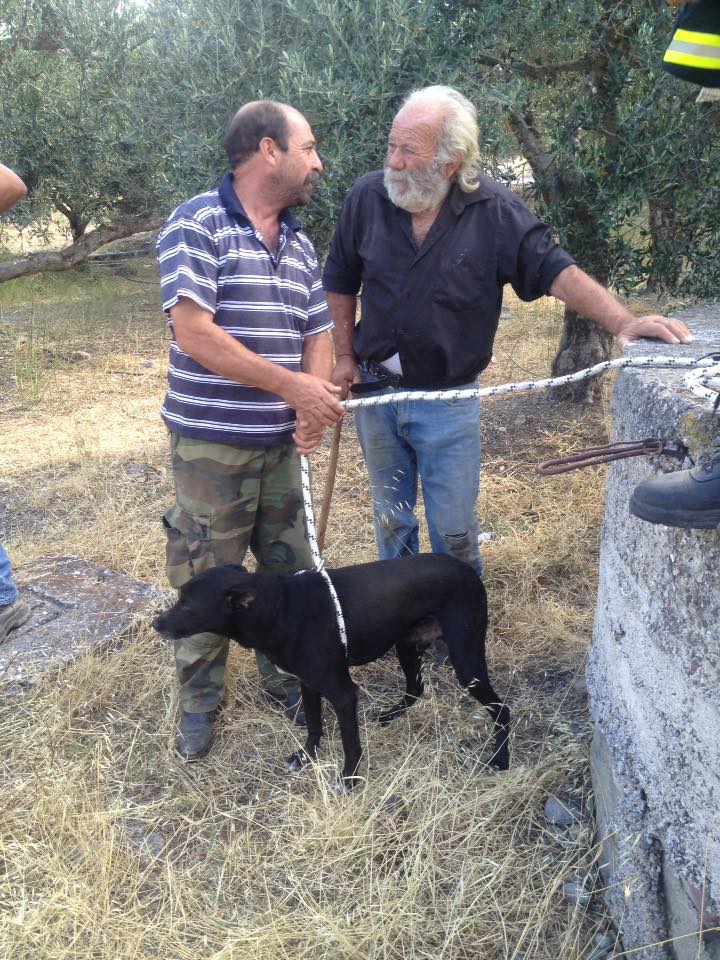 Κρήτη: Σκυλί είχε πέσει σε… πηγάδι – Το έσωσε η πυροσβεστική [photos] - Φωτογραφία 6