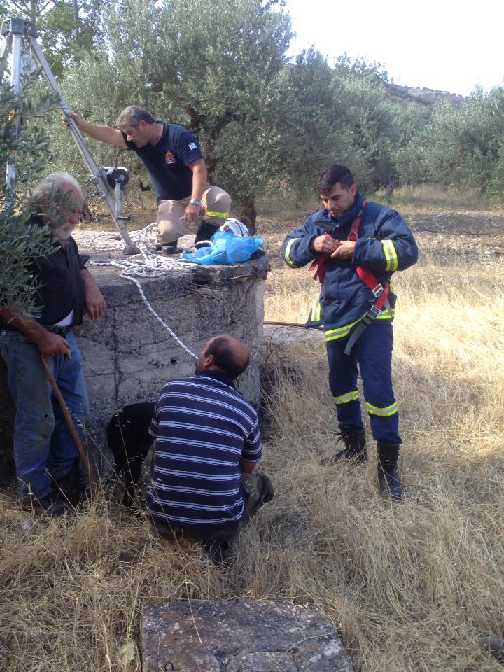 Κρήτη: Σκυλί είχε πέσει σε… πηγάδι – Το έσωσε η πυροσβεστική [photos] - Φωτογραφία 7