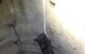 Κρήτη: Σκυλί είχε πέσει σε… πηγάδι – Το έσωσε η πυροσβεστική [photos] - Φωτογραφία 2