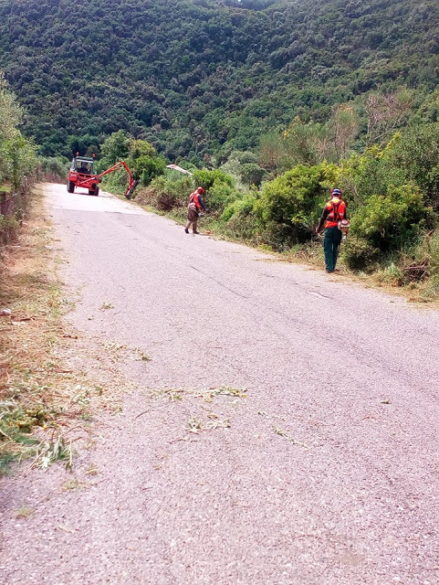 Εργασίες καθαρισμού στο δρόμο Θύρειο -Γουργουβλή -Κορπή από την Περιφέρεια Δυτικής Ελλάδας (ΦΩΤΟ) - Φωτογραφία 6