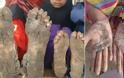 Σάλος με Οικογένεια Ρομά - Όταν είδαμε τα χέρια και τα πόδια των παιδιών τους, μας κόπηκε το αίμα [photos+video] - Φωτογραφία 1