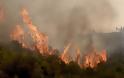 Πυρκαγιά στην Αλόννησο - Εκκενώθηκε ξενοδοχείο - Φωτογραφία 1