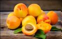 Βερίκοκο: Ένα μικρό φρούτο με τεράστια οφέλη για την υγεία μας!