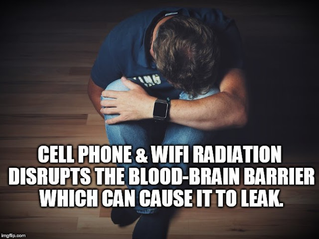 Depression - Could Cell Phone and WiFi Radiation Disrupting the Blood-Brain Barrier Be Playing a Role? - Φωτογραφία 1