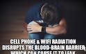 Depression - Could Cell Phone and WiFi Radiation Disrupting the Blood-Brain Barrier Be Playing a Role?