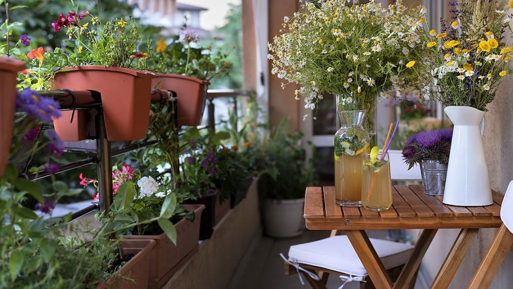 Τα καλύτερα μυρωδικά φυτά για το μπαλκόνι και την κουζίνα σου! - Φωτογραφία 1