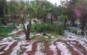 Χαλάζι και μεγάλες καταστροφές στα Τρίκαλα