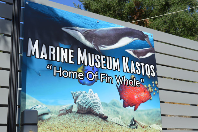 Εντυπωσιακό το Μουσείο θαλάσσιας χλωρίδας και πανίδας στο γειτονικό μας Καστό Λευκάδας (ΦΩΤΟ: ΒΑΣΩ ΠΑΠΠΑ) - Φωτογραφία 2