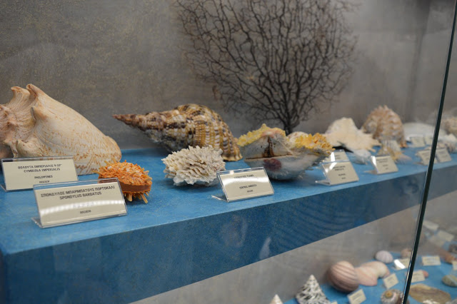 Εντυπωσιακό το Μουσείο θαλάσσιας χλωρίδας και πανίδας στο γειτονικό μας Καστό Λευκάδας (ΦΩΤΟ: ΒΑΣΩ ΠΑΠΠΑ) - Φωτογραφία 51