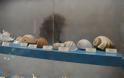 Εντυπωσιακό το Μουσείο θαλάσσιας χλωρίδας και πανίδας στο γειτονικό μας Καστό Λευκάδας (ΦΩΤΟ: ΒΑΣΩ ΠΑΠΠΑ) - Φωτογραφία 18