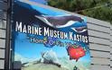 Εντυπωσιακό το Μουσείο θαλάσσιας χλωρίδας και πανίδας στο γειτονικό μας Καστό Λευκάδας (ΦΩΤΟ: ΒΑΣΩ ΠΑΠΠΑ) - Φωτογραφία 2