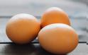 Εννιά τροφές με περισσότερη πρωτεΐνη από το αυγό